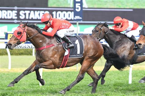redzel stakes tips|Horse Racing News Australia .
